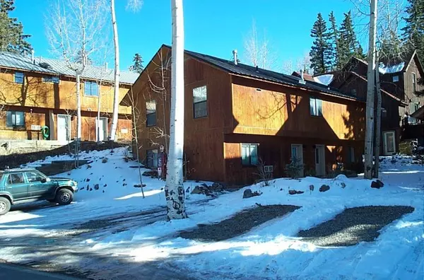 508 Society DR, Telluride, CO 81435