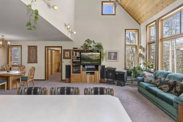 Telluride, CO 81435,110 Timberline CT