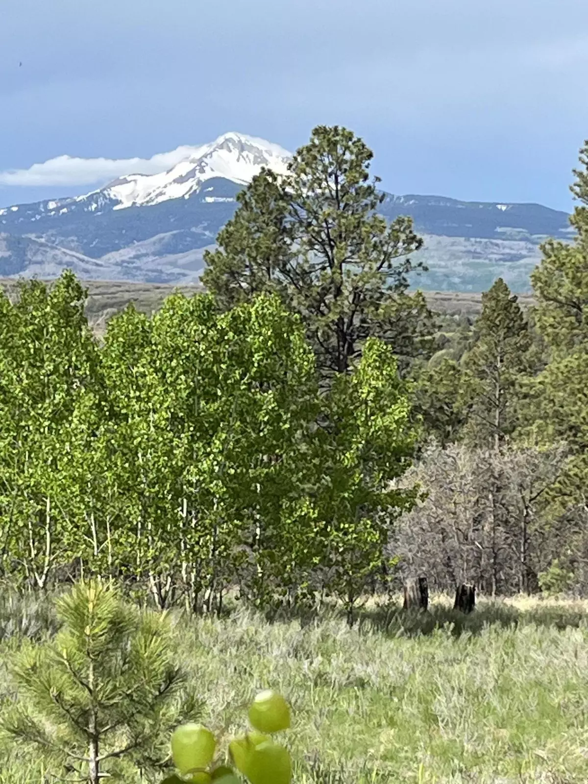 Placerville, CO 81430,Lot 21 Peninsula Drive