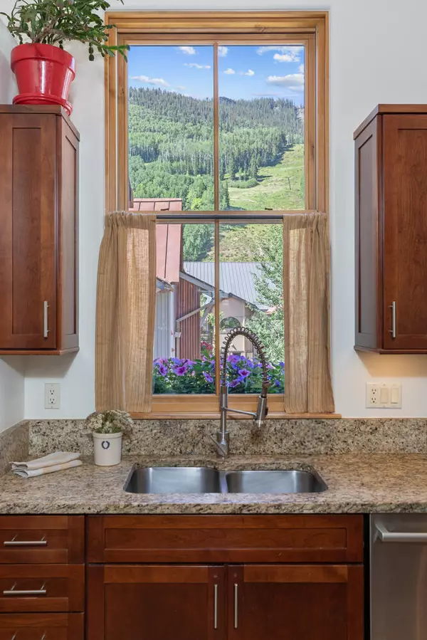 Telluride, CO 81435,240 S Mahoney DR #23