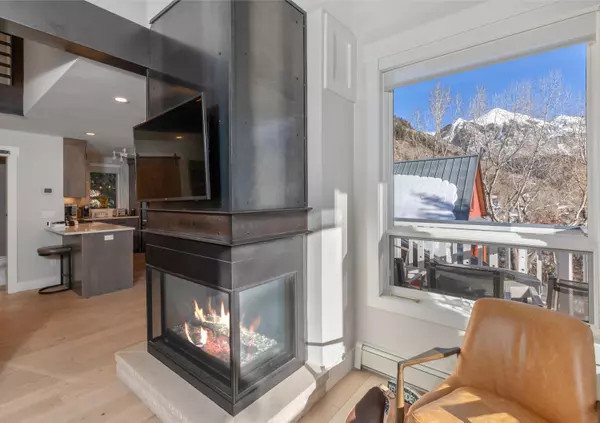 Telluride, CO 81435,327 N Fir ST #C