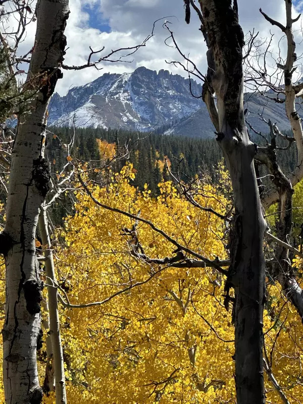 Telluride, CO 81435,tbd Sunrise CIR