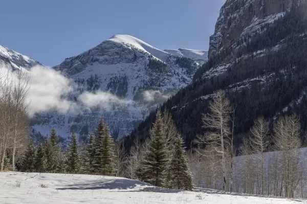 Telluride, CO 81435,TBD Liberty Bell LN