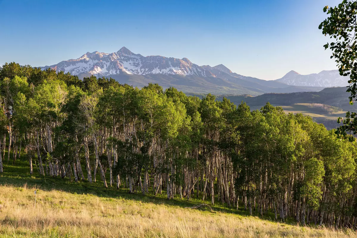 Telluride, CO 81435,105 W Serapio DR