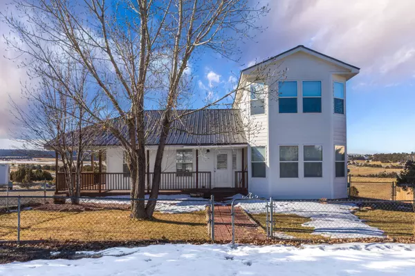 50 Pioneer CIR, Norwood, CO 81423