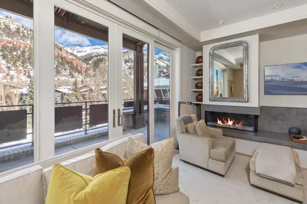 Telluride, CO 81435,398 S Davis ST #W301