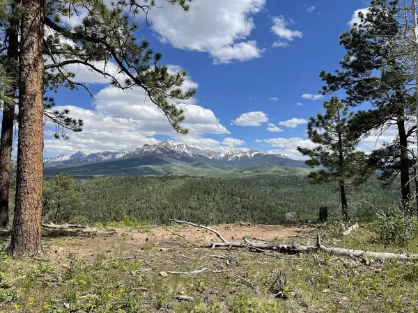 Placerville, CO 81430,TBD N Sage Grouse