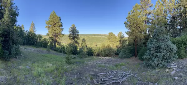 TBD Green Meadows Lane, Placerville, CO 81430