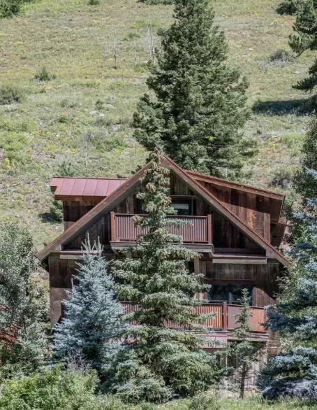 Telluride, CO 81435,868 Butcher Creek DR