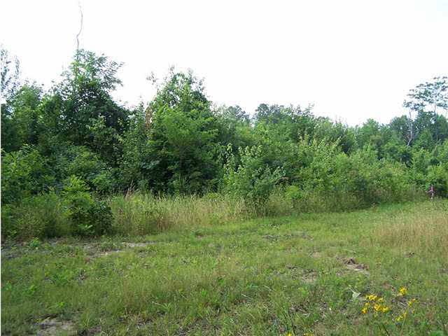 0 WILLOW DR, Sequatchie, TN 37327