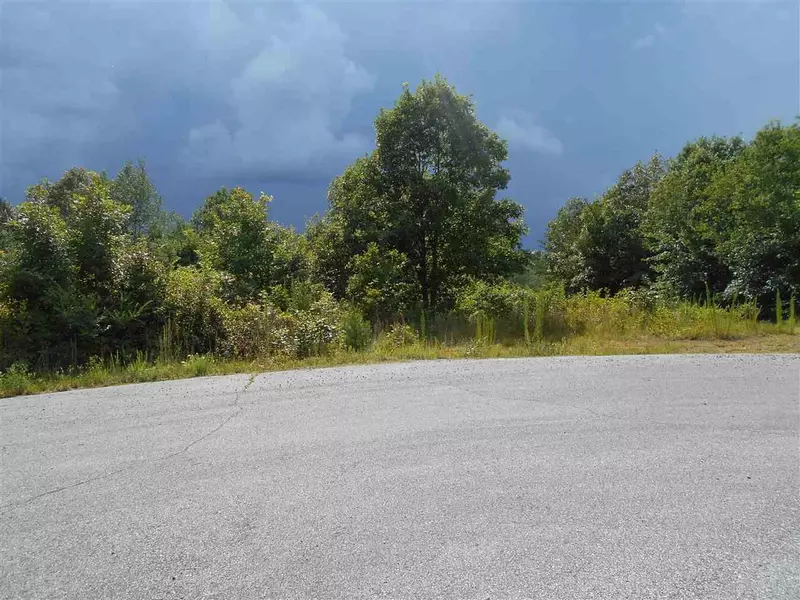 lot 10 Ten Mile LN, Ten Mile, TN 37880