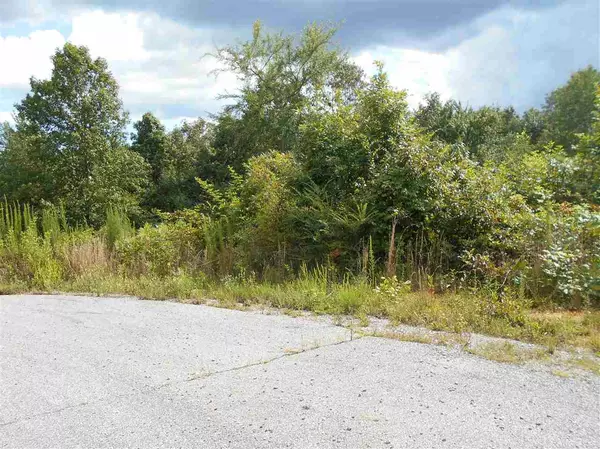 Ten Mile, TN 37880,lot 10 Ten Mile LN