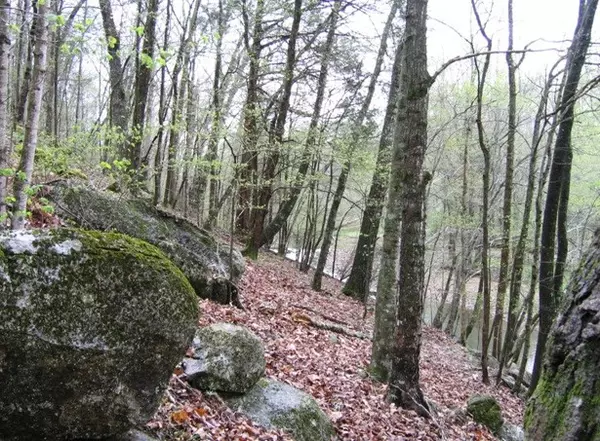 Birchwood, TN 37308,Lot 14 Watauga LN