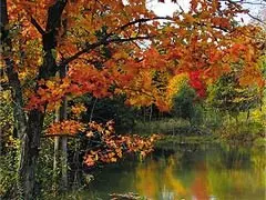 Birchwood, TN 37308,Lot 19 Watauga LN