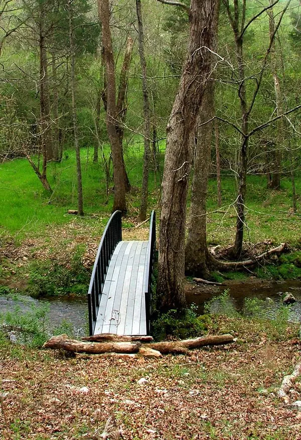 Birchwood, TN 37308,Lot 19 Watauga LN