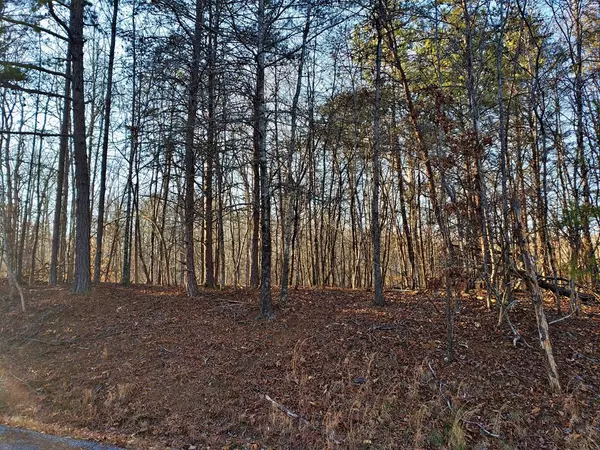 Ten Mile, TN 37880,Lot 5 Branham LN