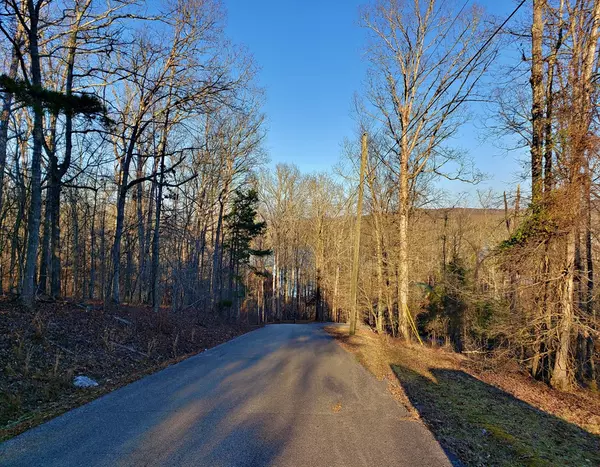 Ten Mile, TN 37880,Lot 5 Branham LN