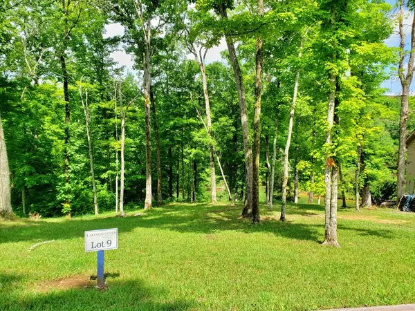 Ten Mile, TN 37880,Lot 9 Waterfront WAY