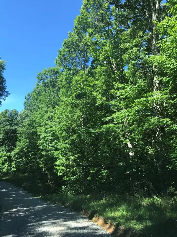 Pikeville, TN 37367,Lot 195 Ridge RD W