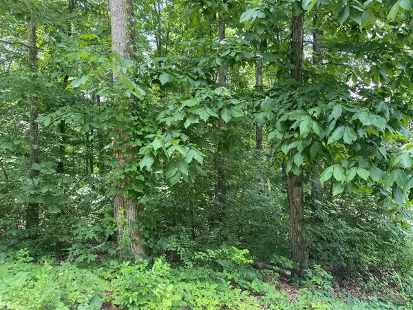 Lot 14 County Road 1121, Athens, TN 37303