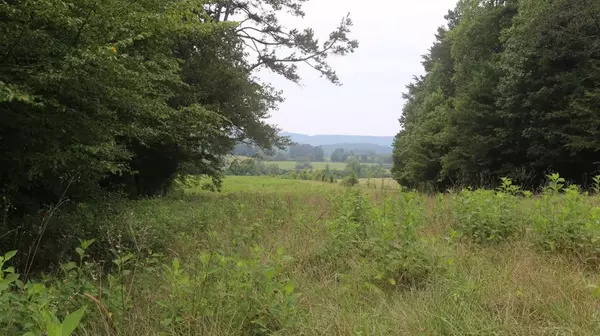 42.98 Acre Mars Hill RD, Spring City, TN 37381