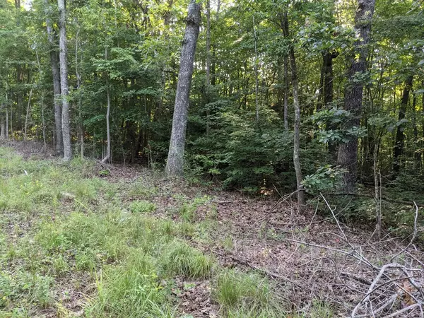 Spring City, TN 37381,Lot 52 Laurel RD