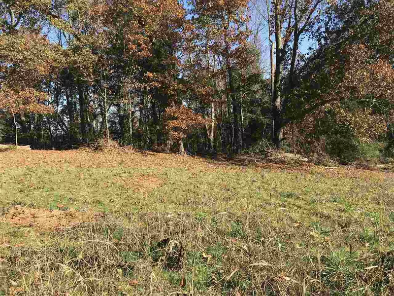 Lot 87 County Road 316, Niota, TN 37826