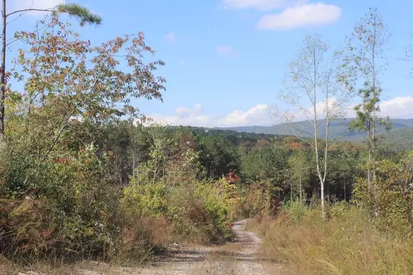 Lot 3 Shut in Gap RD, Spring City, TN 37337