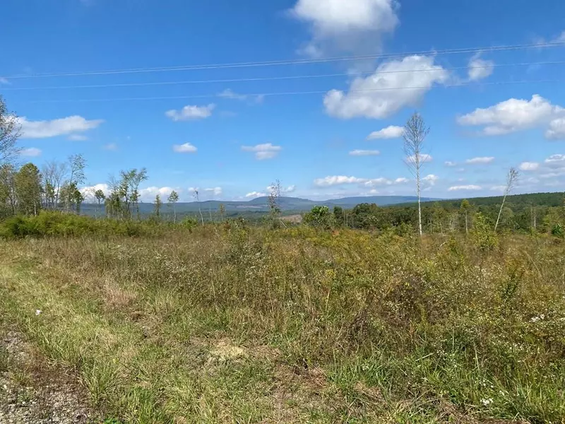 Lot 5 Shut In Gap RD, Spring City, TN 37337