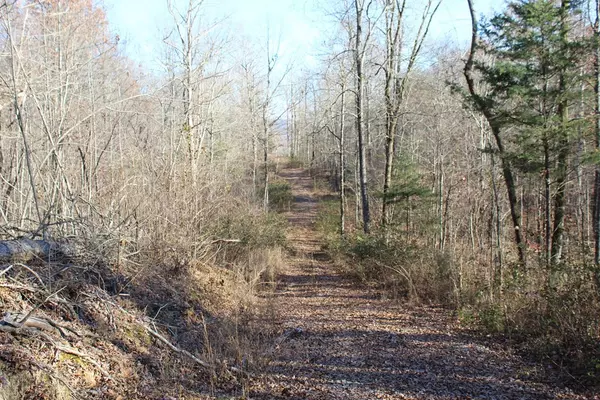 Delano, TN 37325,11.74 acre Moss RD