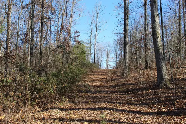 Delano, TN 37325,11.74 acre Moss RD