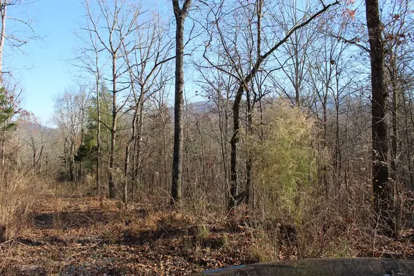 Delano, TN 37325,11.74 acre Moss RD