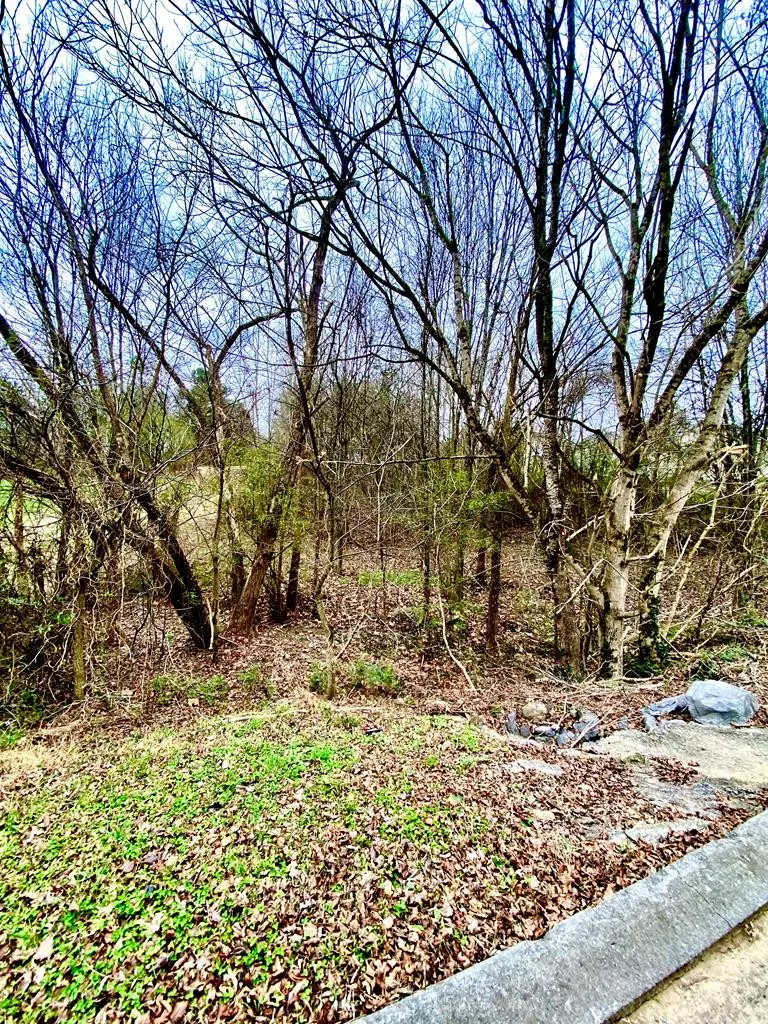 Dayton, TN 37321,Lot 7 Millstone DR