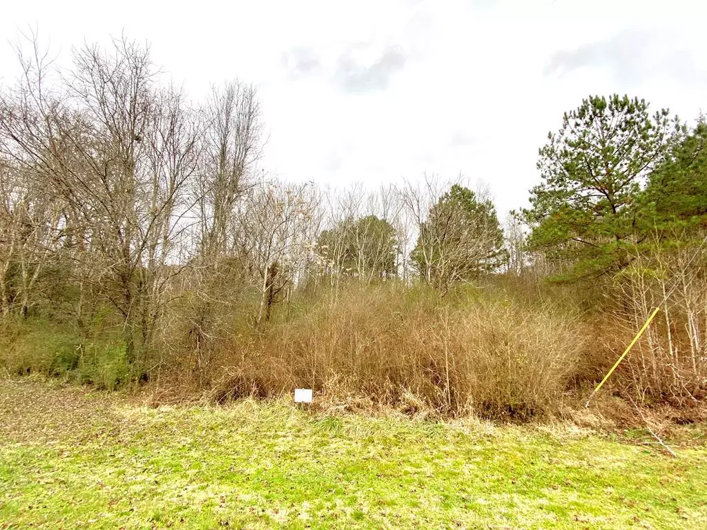 Dayton, TN 37321,Lot 21 Millstone DR