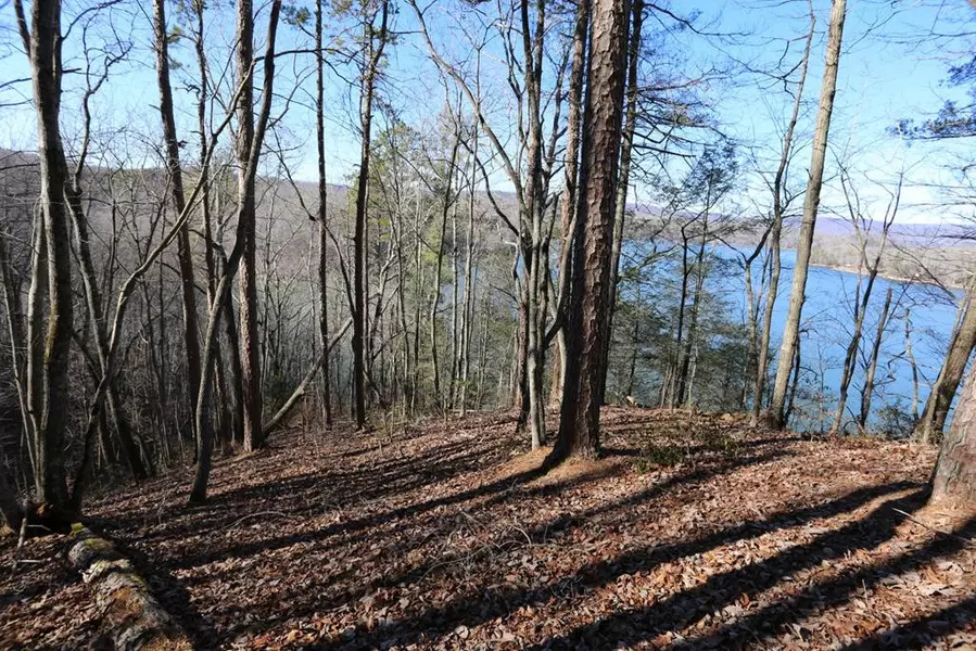 lot 515-51 Rockview DR, Spring City, TN 37381