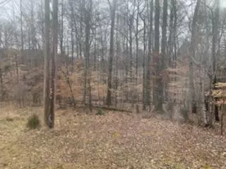 lot 56, 57 Caron DR, Spring City, TN 37881