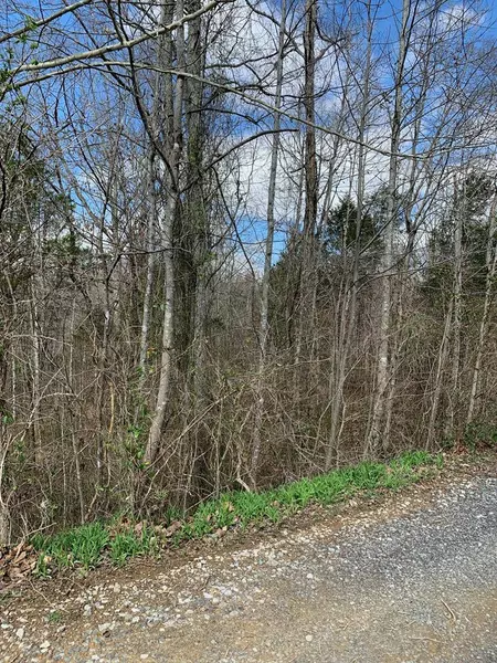 TBD County Road 750, Calhoun, TN 37309