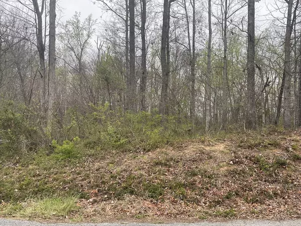 Morristown, TN 37814,Lot 4 Wooddale RD