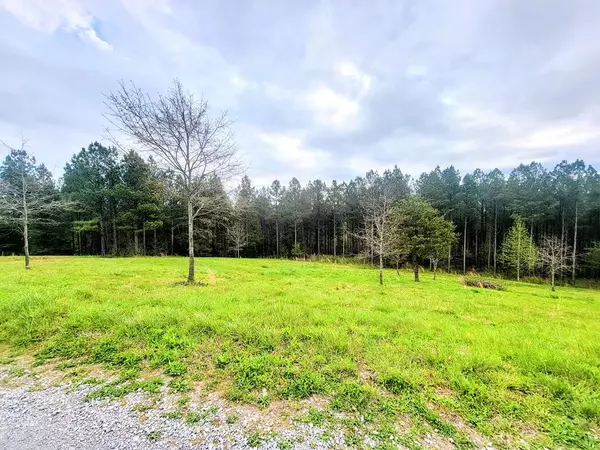 00 Hiwassee Trail DR, Delano, TN 37323