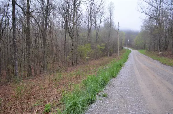 Spring City, TN 37381,Lot 1c Overlook TRL