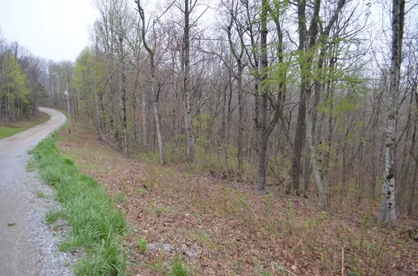 Spring City, TN 37381,Lot 1c Overlook TRL