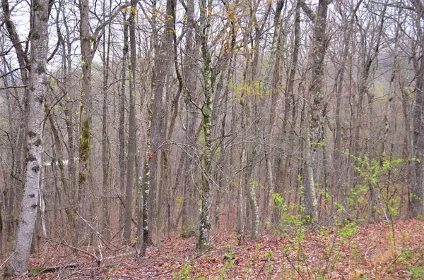 Spring City, TN 37381,Lot 1c Overlook TRL