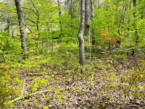 Crossville, TN 38558,109 Avon LN