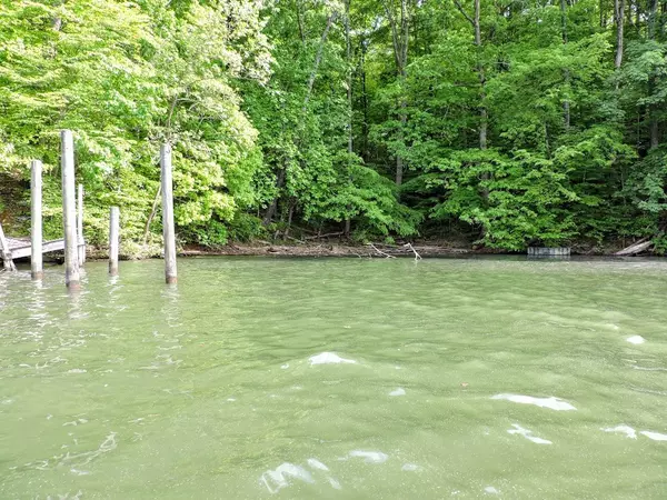 Spring City, TN 37381,Lot 14 Sunset Hills LN