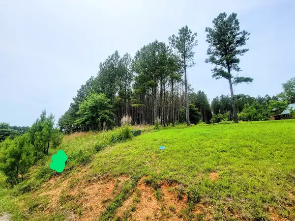 Delano, TN 37325,174 Hiwassee Trails DR