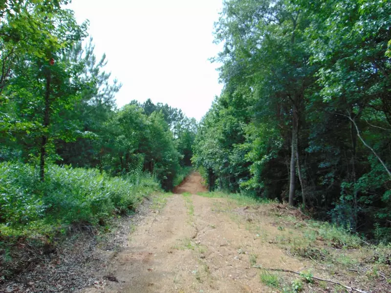 Tract 37 Pinhook RD, Calhoun, TN 37309