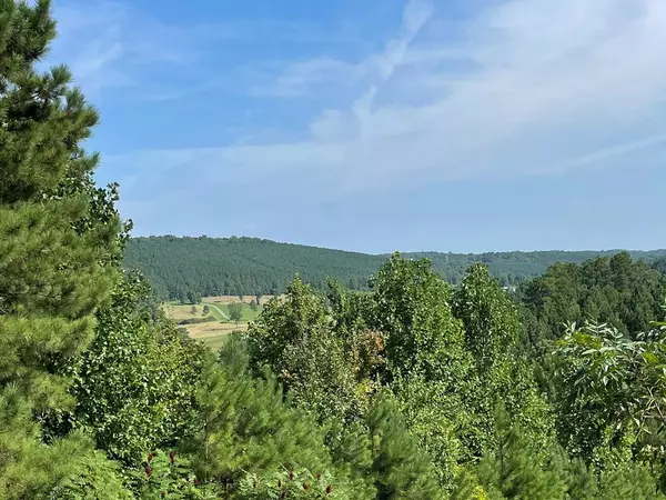 000 Moore RD NW, Charleston, TN 37310