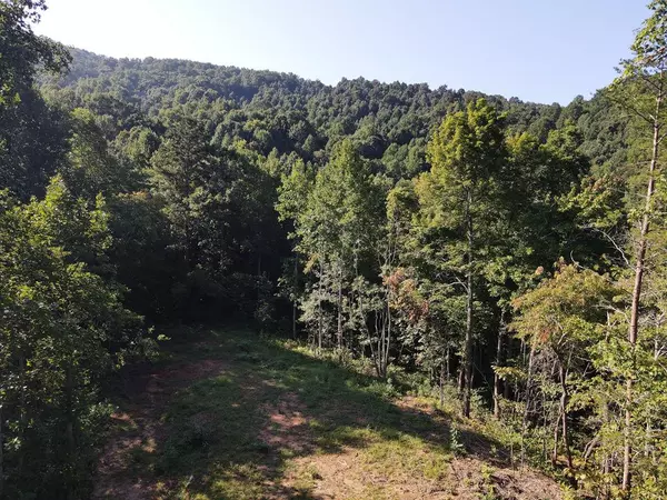 0 Calvender RD, Turtletown, TN 37326