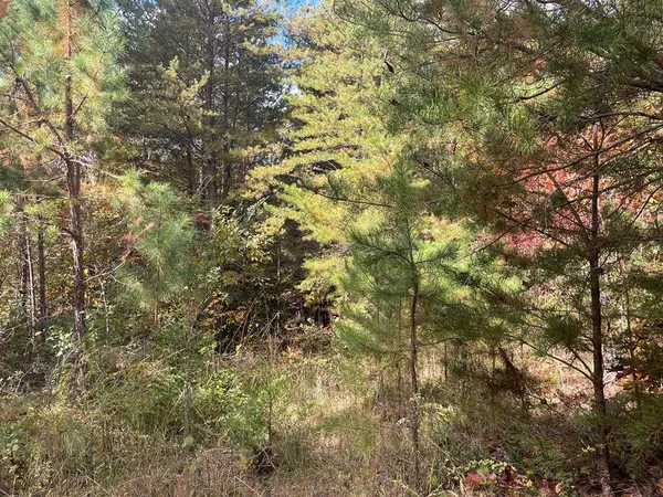 0 Bearden LN, Birchwood, TN 37308