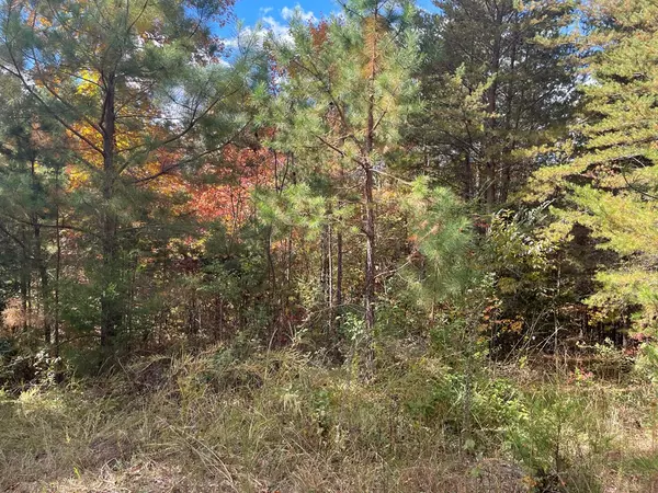 Birchwood, TN 37308,0 Bearden LN